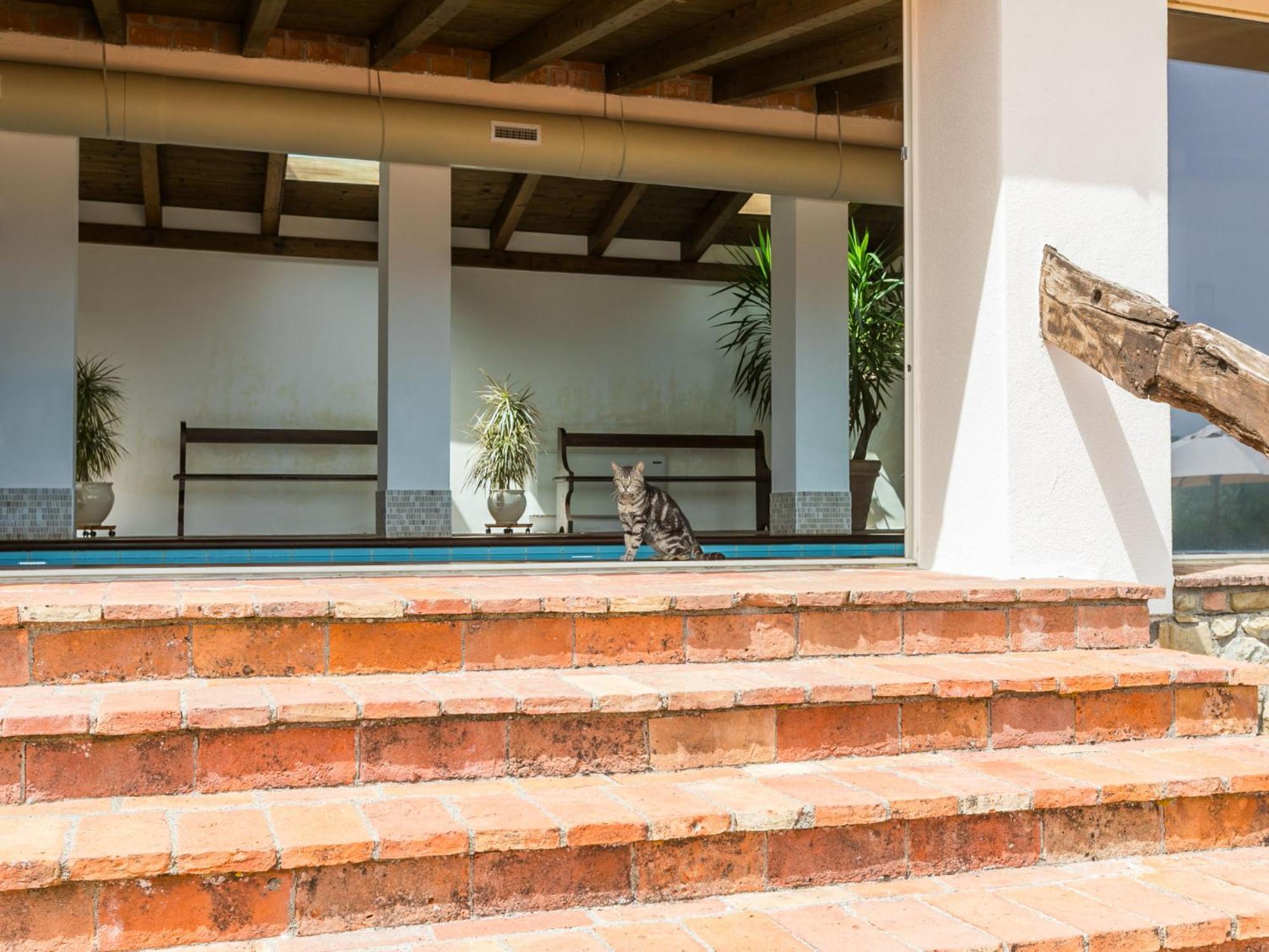 Apartment Santa Marta By Interhome Cinigiano Extérieur photo